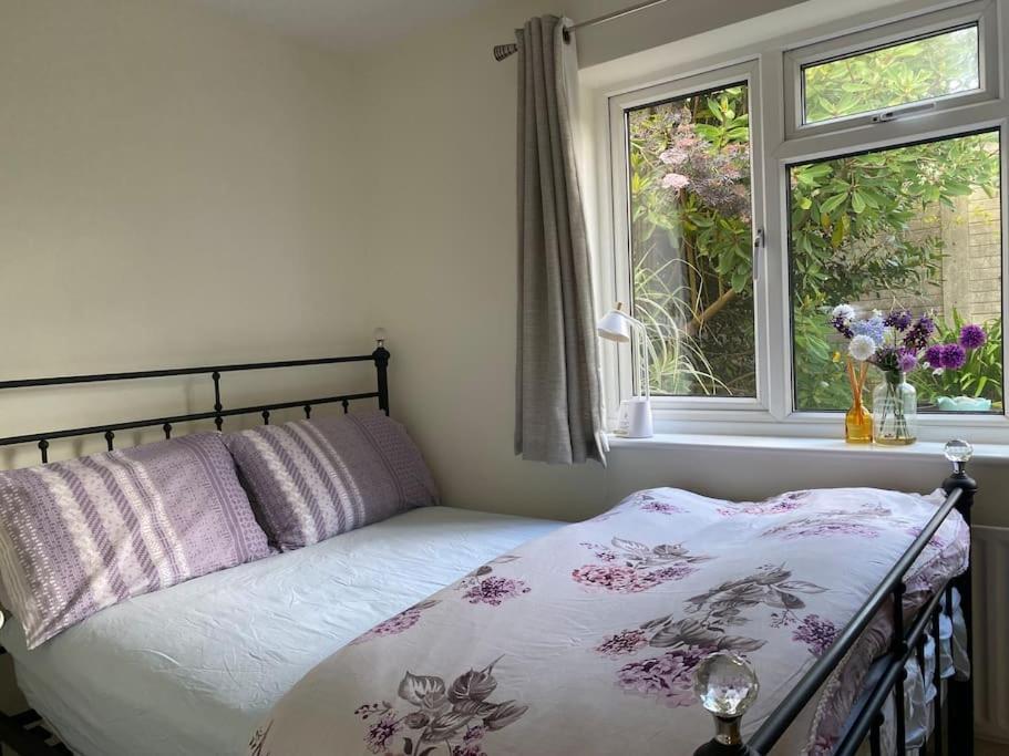 Cosy Apartment With Private Access And Kitchenette In Guildford (Adults Only) Worplesdon Eksteriør billede